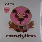 Gruff Rhys