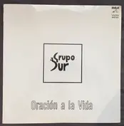 Grupo Sur