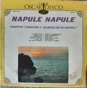 Gruppo Canzoni E Mandolini Di Napoli