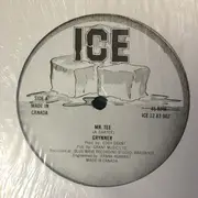 12inch Vinyl Single - Grynner - Mr. Tee / Mr. Tee (Dub)