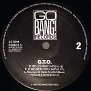 12inch Vinyl Single - Gto - Pure