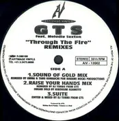 GTS Feat. Melodie Sexton - Through The Fire (Remixes)