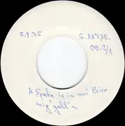 7inch Vinyl Single - Guntram Kühbeck - Himmel, Herrschaft, Sackl Zement