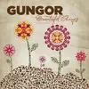 CD - Gungor - Beautiful Things