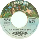 7inch Vinyl Single - Gunhill Road - Back When My Hair Was Short