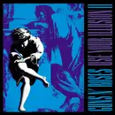 Double LP - Guns N' Roses - Use Your Illusion II