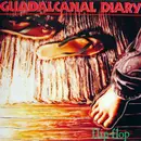 LP - Guadalcanal Diary - Flip Flop