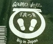 Guano Apes - Big in Japan