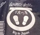 CD Single - Guano Apes - Big in Japan/Digip/Ltd.ed.