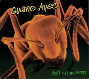 Guano Apes - Don't Give Me Names