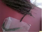 12inch Vinyl Single - Gudrun Gut - Best Garden EP