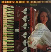 Günther Gürsch - Das Grosse Akkordeon-Schlagerpotpourri