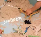 Guillemots - From the Cliffs
