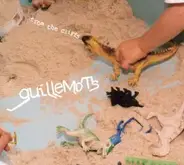 Guillemots - From the Cliffs