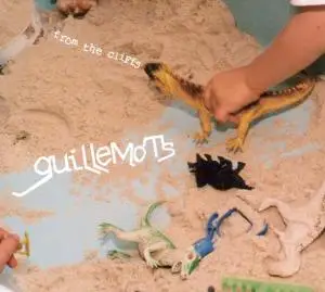 Guillemots - From the Cliffs