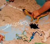 Guillemots - From the Cliffs