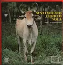 LP - Guillermo Hernandez, Adelso Paz a.o. - Sentimento Criollo Vol.4