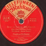 Gustav Strube - Für die ältere Jugend / Die schöne Müllerin