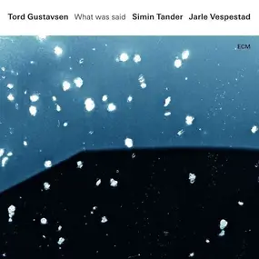 Gustavsen/Tander/Vespestad - What Was Said