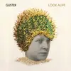 LP - Guster - Look Alive