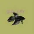Guv'ner - IN THE FISHTANK -MLP-