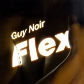 guy noir - Flex