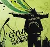 Double LP - Gym Class Heroes - The Papercut Chronicles