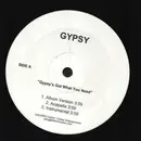 12inch Vinyl Single - Gypsy - Gypsy's Got What You Need / Spellbound