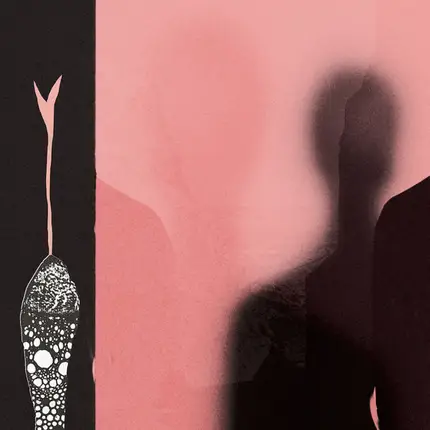 H. Hawkline - In the Pink of Condition