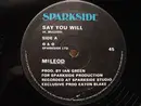 12'' - H. McLeod - Say You Will