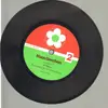 7inch Vinyl Single - H.Tosse - Fragen und Antworten zum Motten-Geschäft - flexi