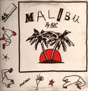 12inch Vinyl Single - H2c - Malibu