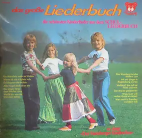 Hamburger Kinderchor - Lieder Aus Dem Schulliederbuch