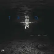 Hamilton DE Holanda - Trio