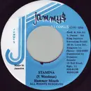 7inch Vinyl Single - Hammer Mouth - Stamina