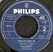 7inch Vinyl Single - Hana Hegerová - Meine Stadt (Die Moldau)