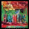 LP - Hands - Synesthesia