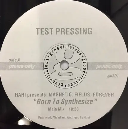 Hani Presents Magnetic: Fields: Forever: - Born To Synthesize