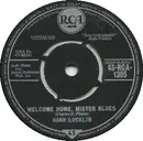 7inch Vinyl Single - Hank Locklin - Welcome Home, Mister Blues