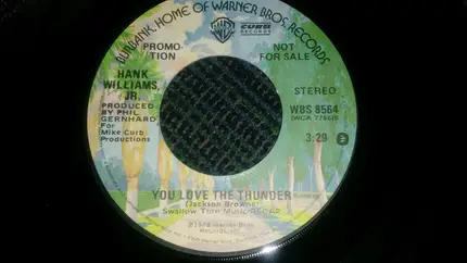 Hank Williams Jr. - You Love The Thunder