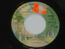 7inch Vinyl Single - Hank Williams Jr. - I'm Not Responsible