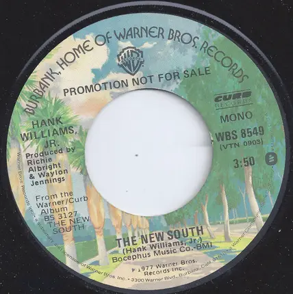 Hank Williams Jr. - The New South