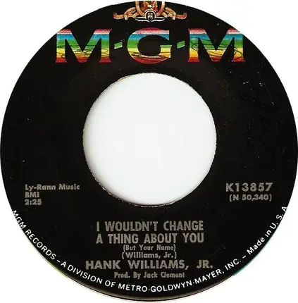 Hank Williams Jr. - I Wouldn't Change A Thing About You / No Meaning And No End