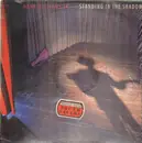 Double LP - Hank Williams Jr - Standing In The Shadows