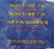 CD Single - Hanne Boel - Falling In Love