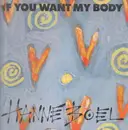 12inch Vinyl Single - Hanne Boel - If You Want My Body