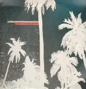12'' - Hans Nieswand mit Gabriel Ananda - Ich vermiss die Zeit