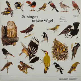 Hans A. Traber - So Singen Unsere Vögel