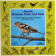 Hans A. Traber - Amsel, Drossel, Fink Und Star (Vogelgesänge Und Andere Tierstimmen Aus Wald Und Flur)