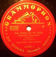 Hans Busch Tanz-Orchester - Am Abend Auf Der Heide / Fräulein, Sie Tanzen So Schön Mit Gefühl